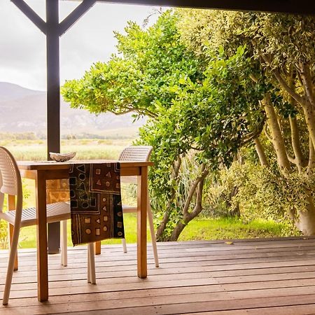 Springfontein River Lodge Stanford Buitenkant foto