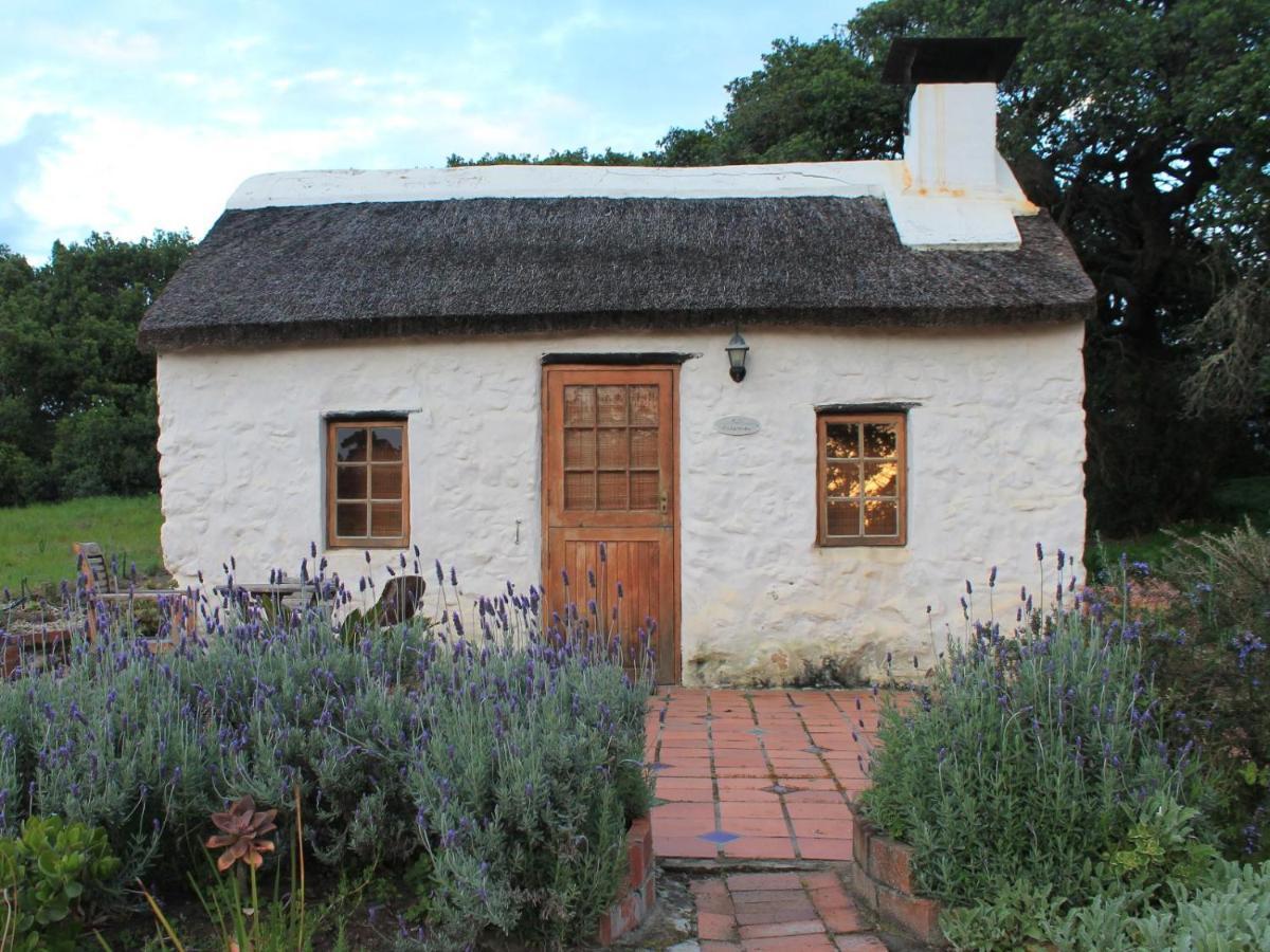 Springfontein River Lodge Stanford Buitenkant foto