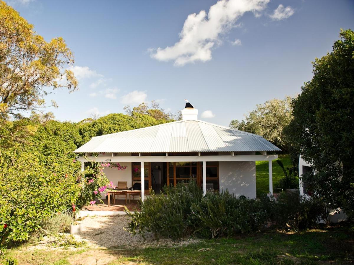 Springfontein River Lodge Stanford Buitenkant foto