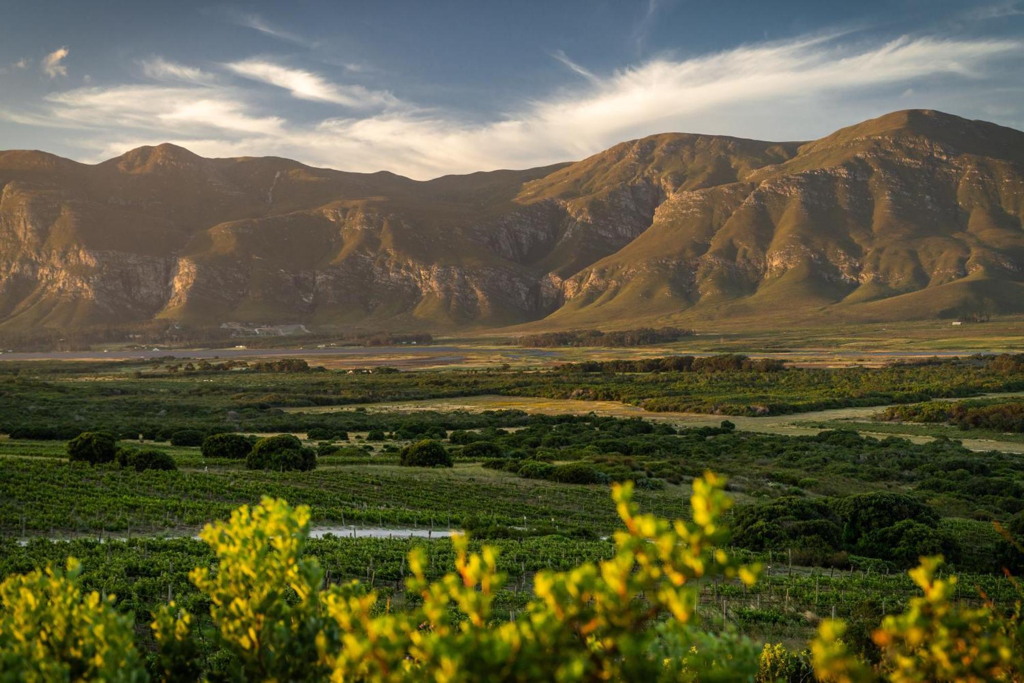 Springfontein River Lodge Stanford Buitenkant foto