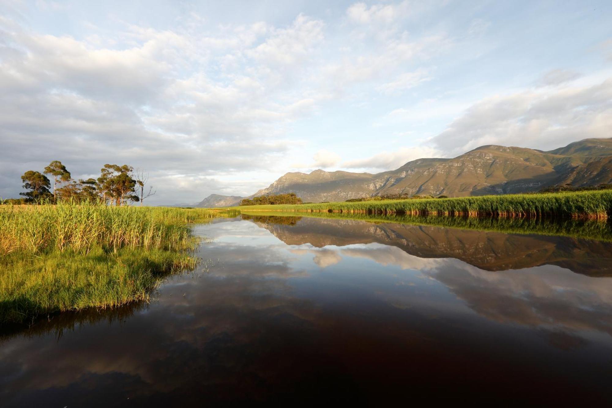 Springfontein River Lodge Stanford Buitenkant foto