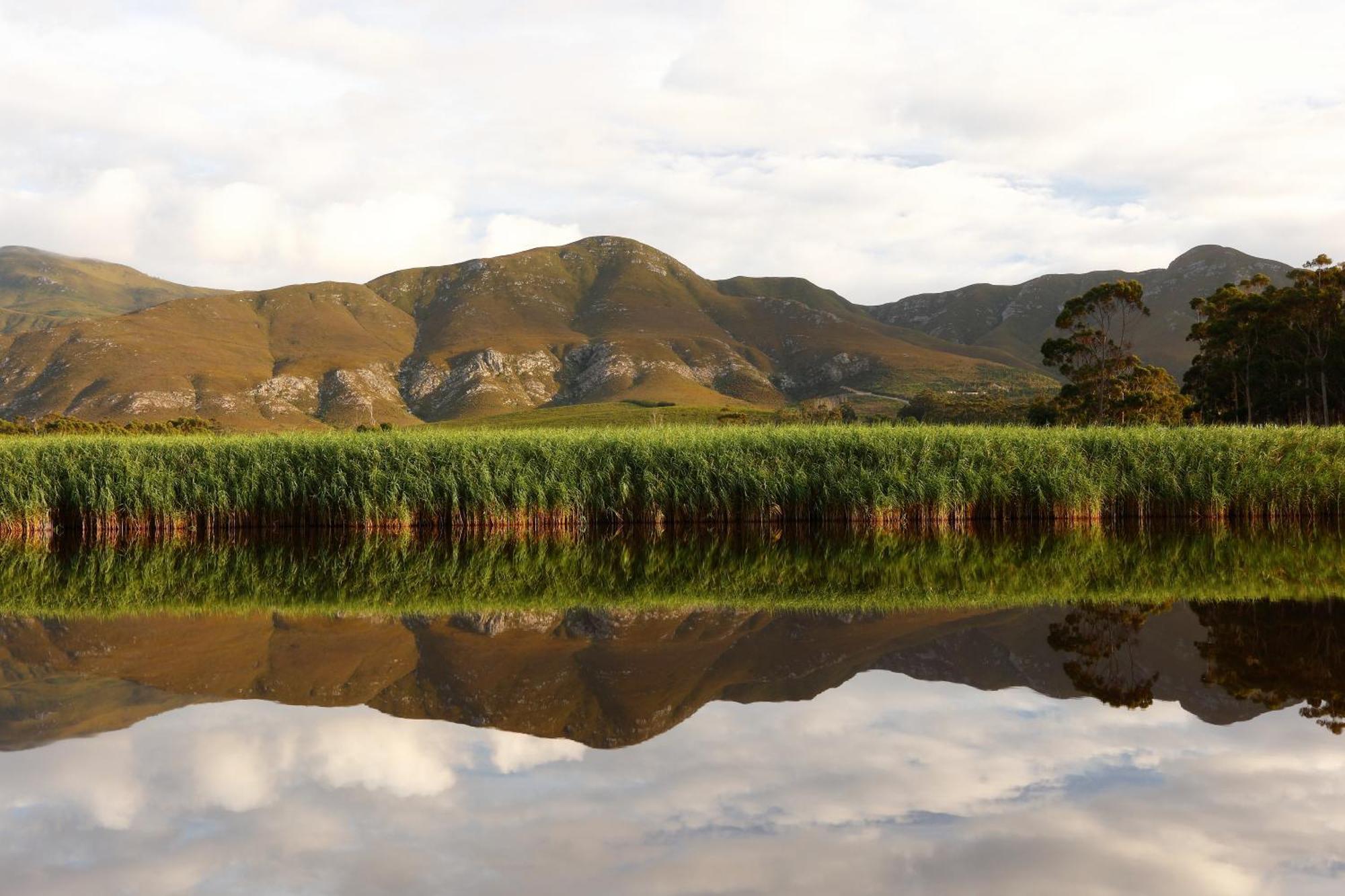 Springfontein River Lodge Stanford Buitenkant foto