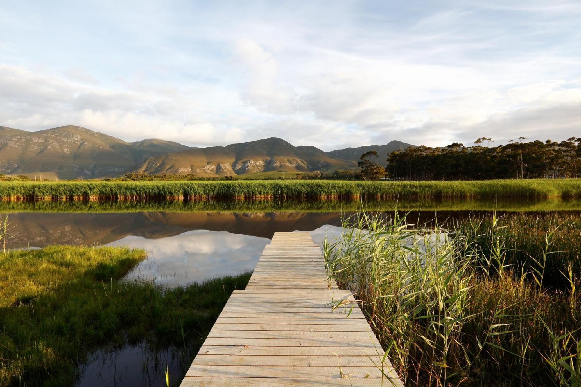 Springfontein River Lodge Stanford Buitenkant foto